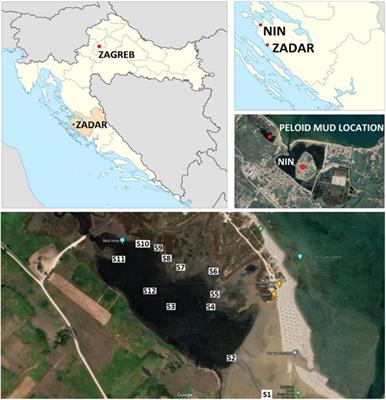 Bioprospecting for Microorganisms in Peloids—Extreme Environment Known for Its Healing Properties